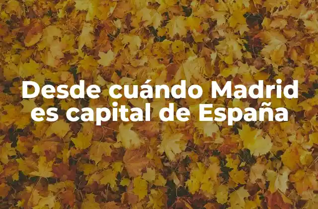 El origen de la capitalidad de Madrid