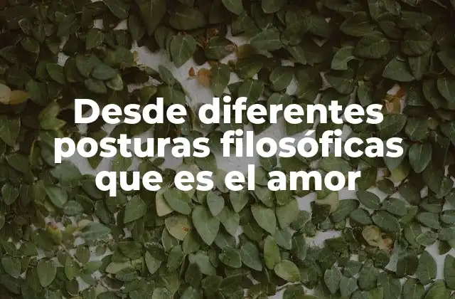 Desde Diferentes Posturas Filosóficas que es el Amor