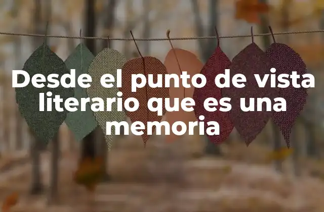 Desde el Punto de Vista Literario que es una Memoria