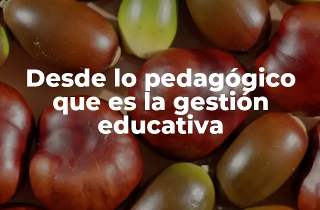 Desde Lo Pedagógico que es la Gestión Educativa