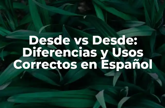 Desde Vs Desde: Diferencias y Usos Correctos en Español 2 ¿Cuál es la función de desde en una oración?