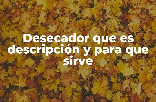 Desecador que es Descripción y para que Sirve