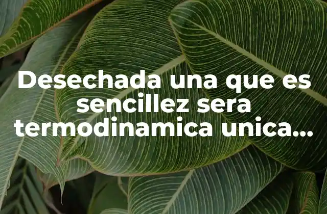 Desechada una que es Sencillez Sera Termodinamica Unica Cuanto Unversal