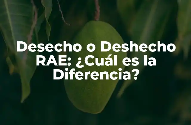 Desecho o Deshecho Rae: ¿cuál es la Diferencia?