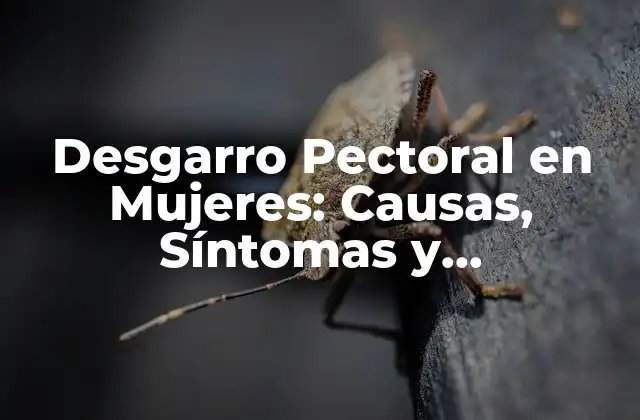 Desgarro Pectoral en Mujeres: Causas, Síntomas y Tratamiento