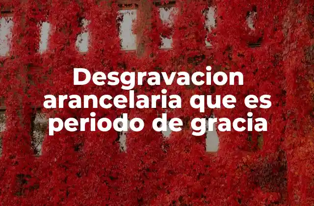 Desgravacion Arancelaria que es Periodo de Gracia 2 La importancia de la desgravación arancelaria en el comercio internacional