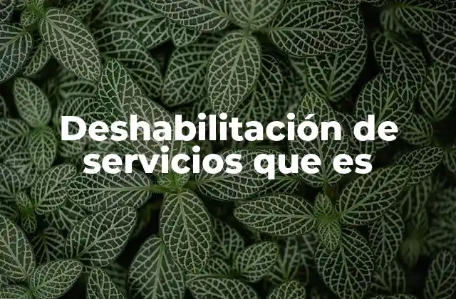 Deshabilitación de Servicios que es