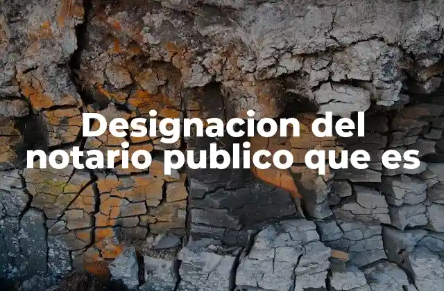 Designacion Del Notario Publico que es