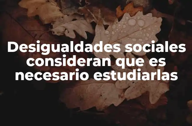 Desigualdades Sociales Consideran que es Necesario Estudiarlas