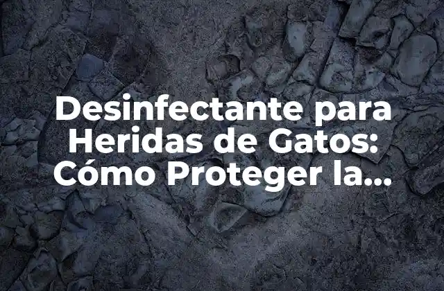 Desinfectante para Heridas de Gatos: Cómo Proteger la Salud de Tu Felino