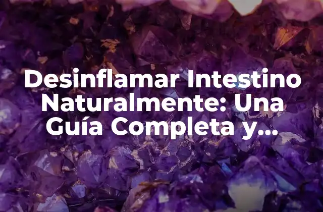 Desinflamar Intestino Naturalmente: una Guía Completa y Efectiva