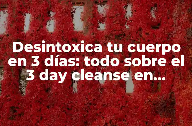 Desintoxica Tu Cuerpo en 3 Días: Todo sobre el 3 Day Cleanse en Español