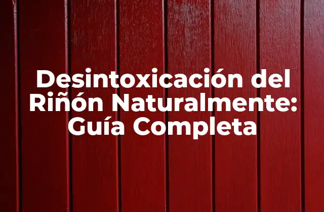 Desintoxicación Del Riñón Naturalmente: Guía Completa
