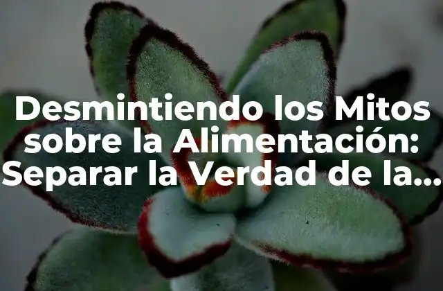 Desmintiendo los Mitos sobre la Alimentación: Separar la Verdad de la Ficción