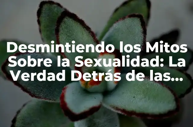 Desmintiendo los Mitos sobre la Sexualidad: la Verdad Detrás de las Creencias Erróneas