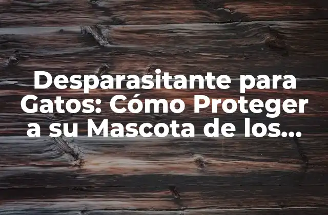 Desparasitante para Gatos: Cómo Proteger a Su Mascota de los Parasitos