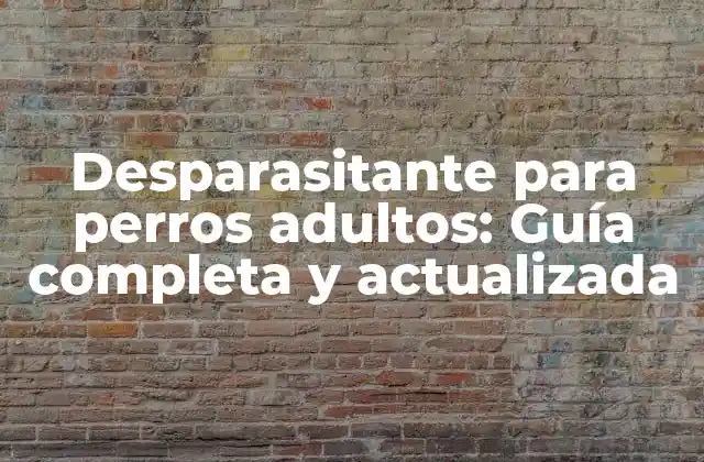Desparasitante para Perros Adultos: Guía Completa y Actualizada
