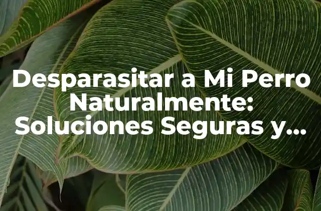 ¿Cuáles Son los Síntomas de la Infestación de Parásitos en Perros?