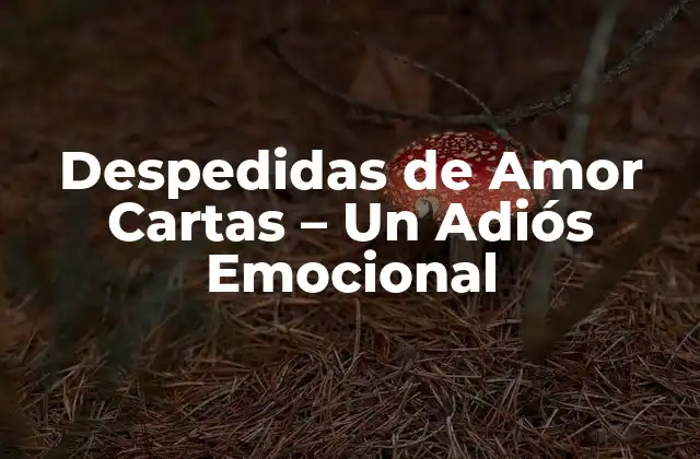 Despedidas de Amor Cartas – un Adiós Emocional