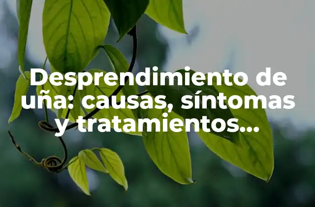Desprendimiento de Uña: Causas, Síntomas y Tratamientos Efectivos