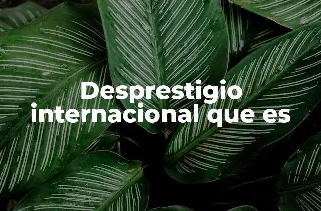 Desprestigio Internacional que es
