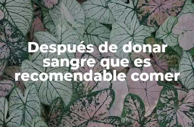 Después de Donar Sangre que es Recomendable Comer