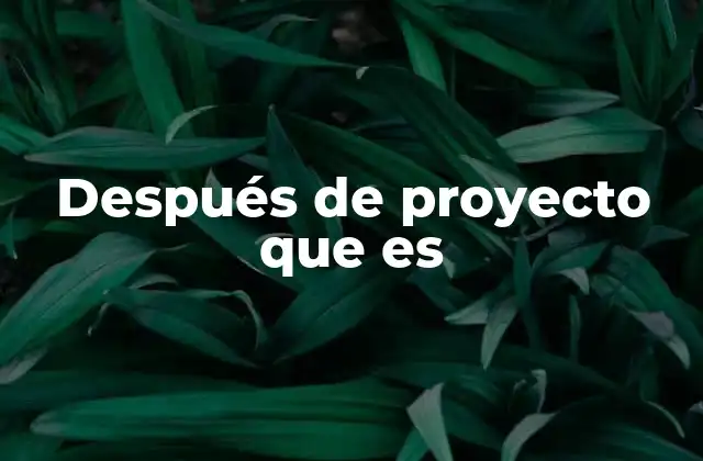 Después de Proyecto que es 2 Pasos a seguir tras concluir un esfuerzo importante