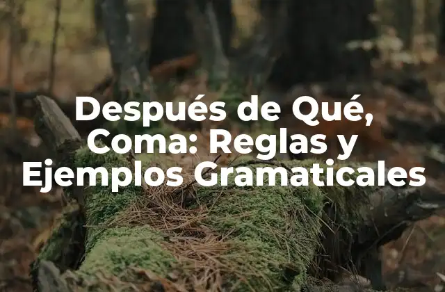 Después de Qué, Coma: Reglas y Ejemplos Gramaticales
