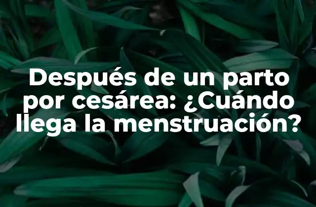 Después de un Parto por Cesárea: ¿cuándo Llega la Menstruación?