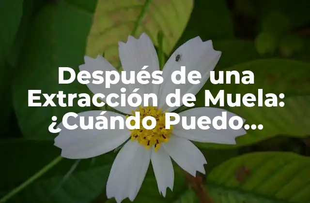 Después de una Extracción de Muela: ¿cuándo Puedo Comer?