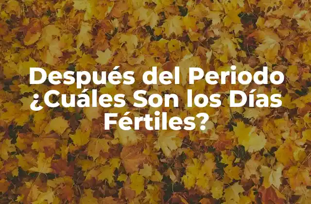 Después Del Periodo ¿cuáles Son los Días Fértiles?