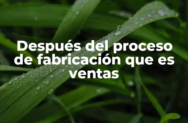 Después Del Proceso de Fabricación que es Ventas