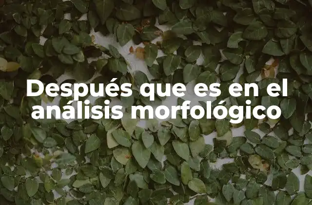 El análisis morfológico y la clasificación de palabras