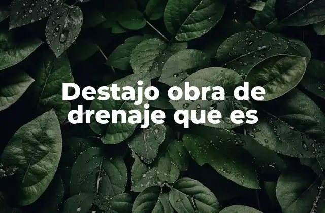 Destajo Obra de Drenaje que es