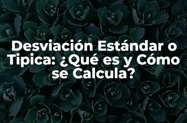 Desviación Estándar o Tipica: ¿qué es y Cómo Se Calcula?