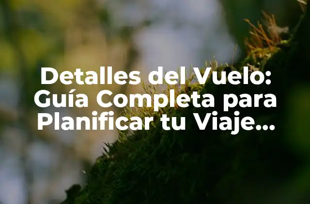 Detalles Del Vuelo: Guía Completa para Planificar Tu Viaje Aéreo