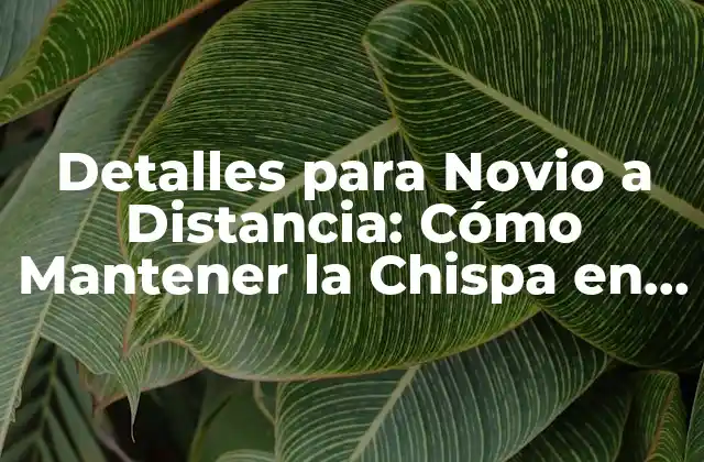 Detalles para Novio a Distancia: Cómo Mantener la Chispa en una Relación Larga Distancia