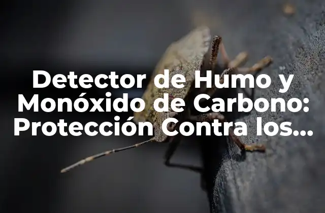Detector de Humo y Monóxido de Carbono: Protección contra los Peligros Ocultos
