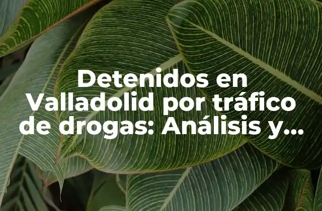 Detenidos en Valladolid por Tráfico de Drogas: Análisis y Consecuencias