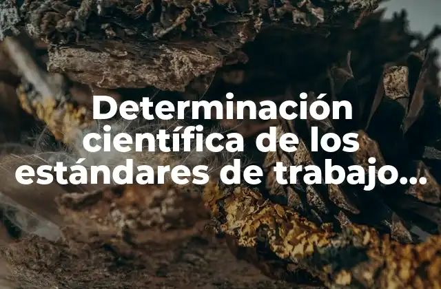 Determinación Científica de los Estándares de Trabajo que es