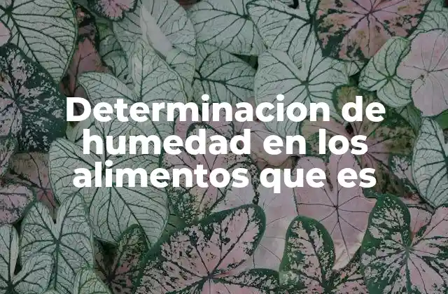 Determinacion de Humedad en los Alimentos que es