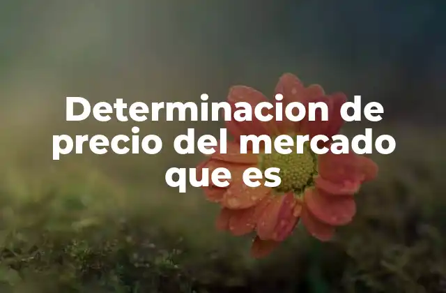 Determinacion de Precio Del Mercado que es