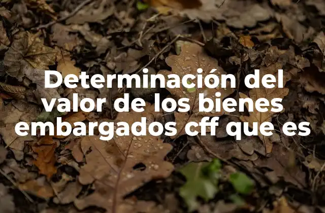 Determinación Del Valor de los Bienes Embargados Cff que es