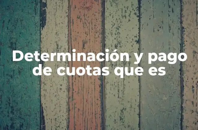 Determinación y Pago de Cuotas que es