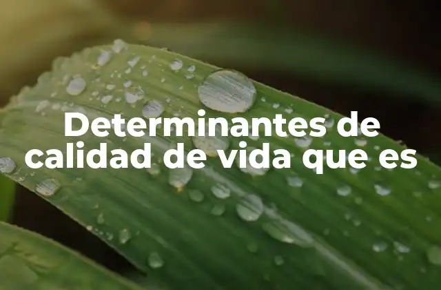 Determinantes de Calidad de Vida que es