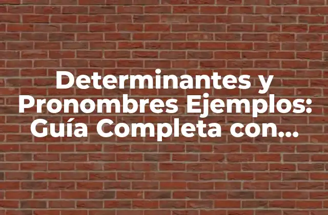 Determinantes y Pronombres Ejemplos: Guía Completa con Ejercicios 2 ¿Qué son los Determinantes?