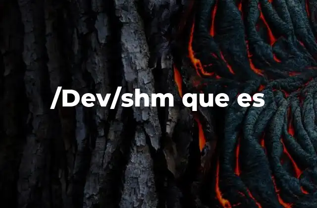 /dev/shm que es