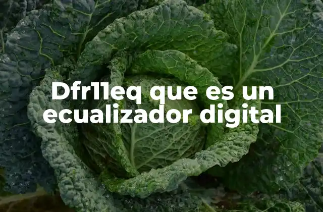 Dfr11eq que es un Ecualizador Digital