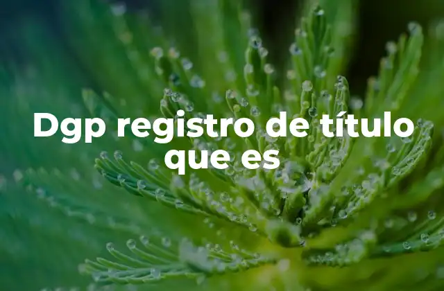Dgp Registro de Título que es
