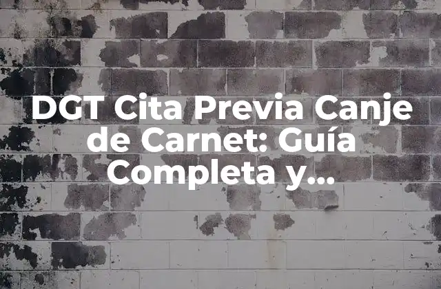 Dgt Cita Previa Canje de Carnet: Guía Completa y Actualizada